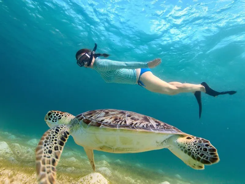 Snorkeling In Clearwater, FL