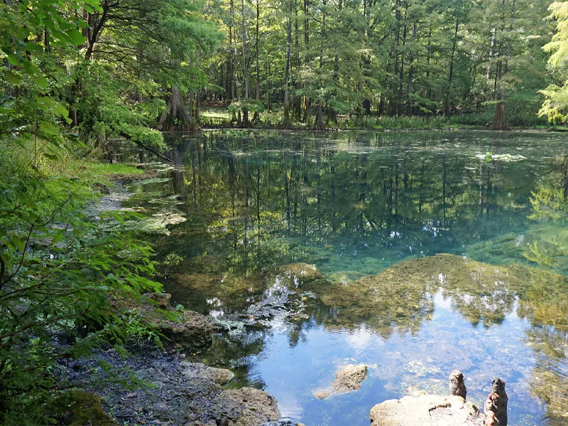 Lower Suwannee National Park