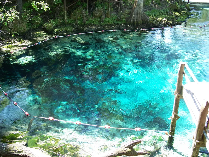 Fanning Springs State Park